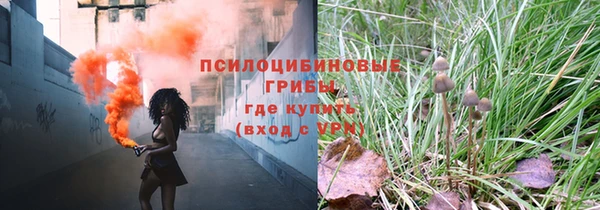 дмт Володарск