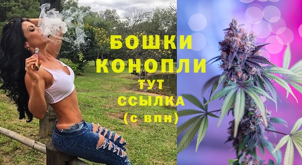 дмт Володарск