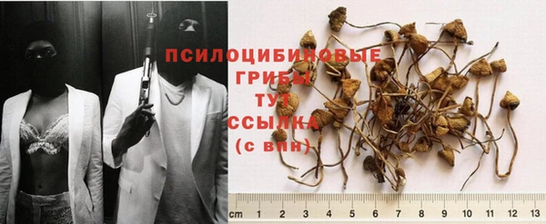 дмт Володарск