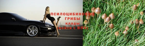 гидропоника Волоколамск