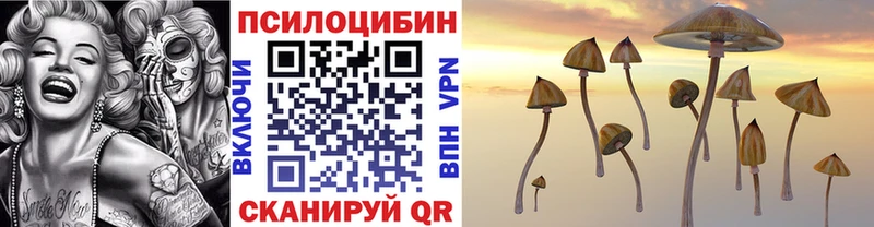 Псилоцибиновые грибы GOLDEN TEACHER  Купить закладки  Озёрск 